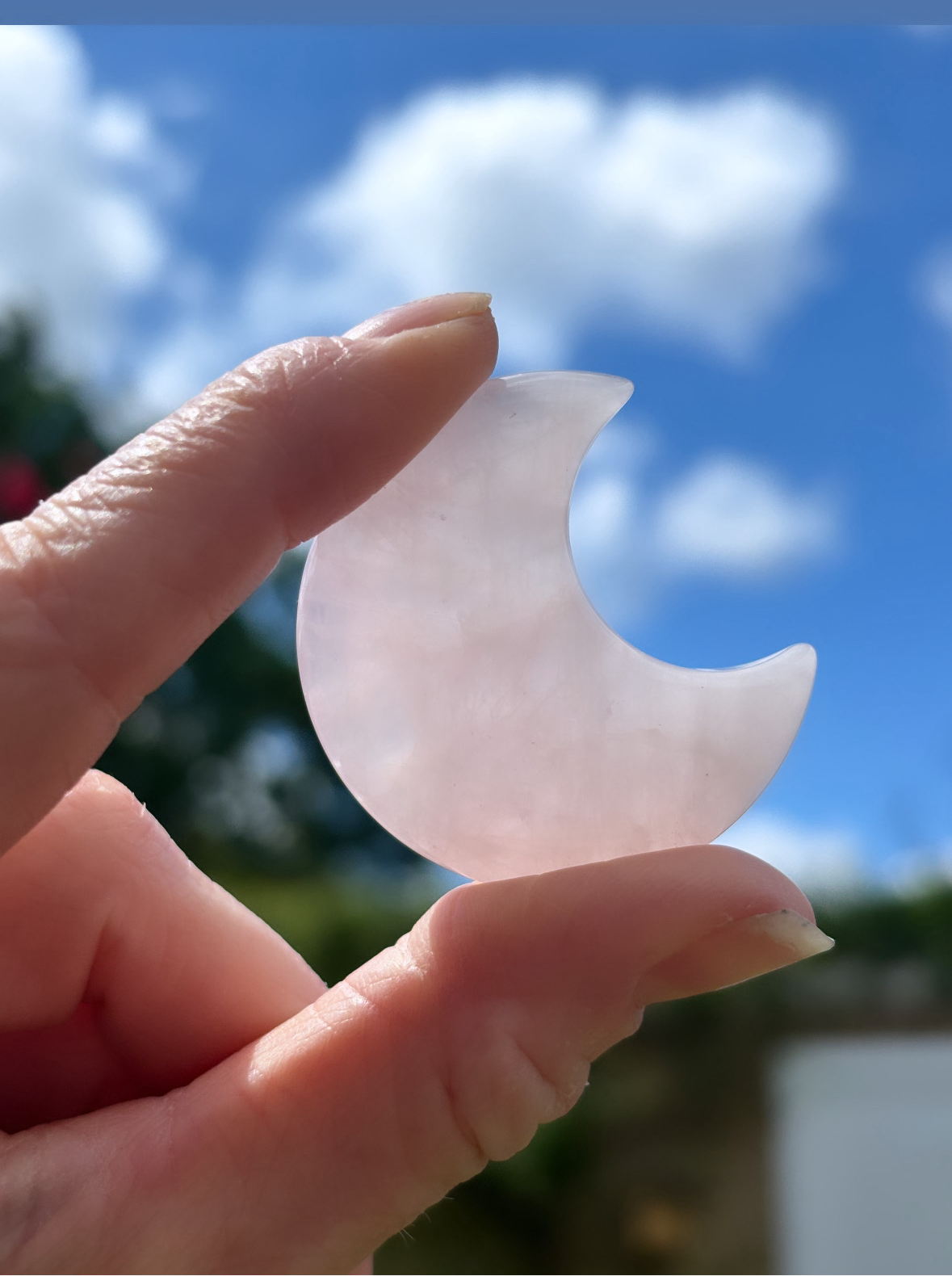 Rose Quartz crystal pocket moons